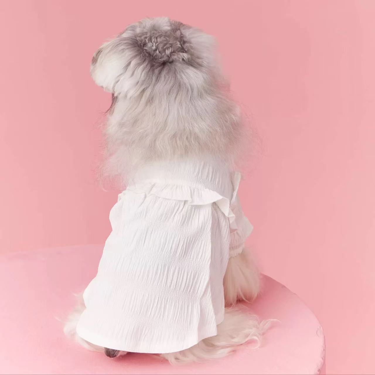 T00367 Pet clothes female dog schnauzer pomeranian teddy maltese ladies white bottom lace small dog shirt