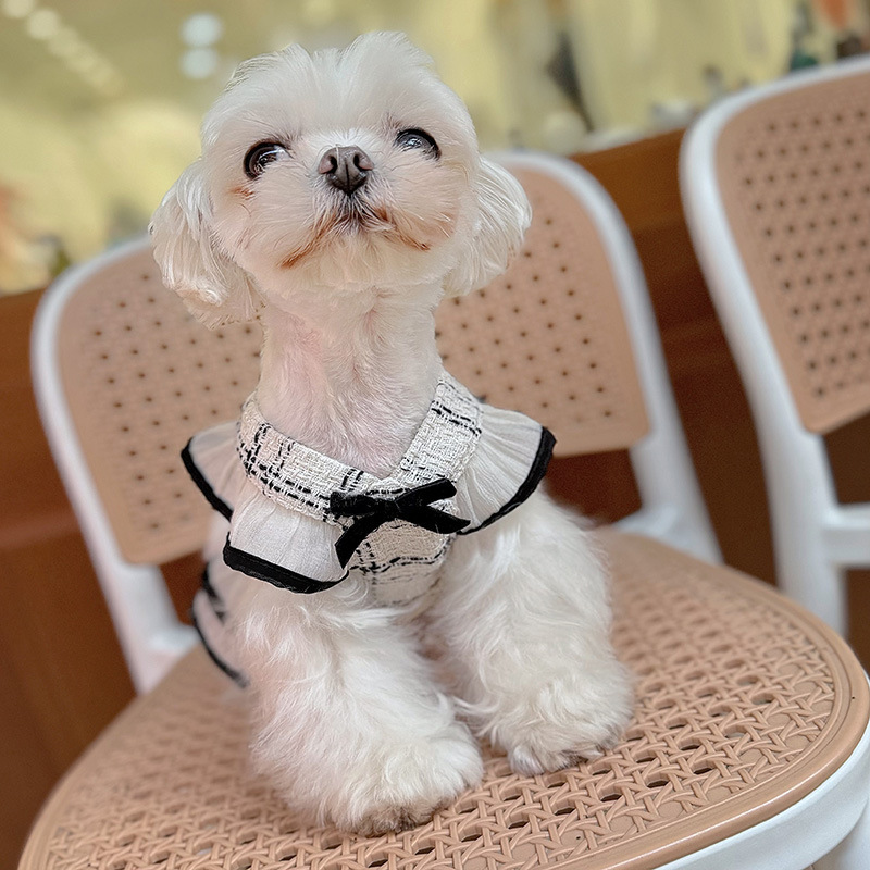Cute Dog Dress Clothes for Small Dogs Cats, Princess Style Dog Harness Dresses Leash Set with Bow Accessories Birthday Puppy Dress Yorkies Chihuahua O