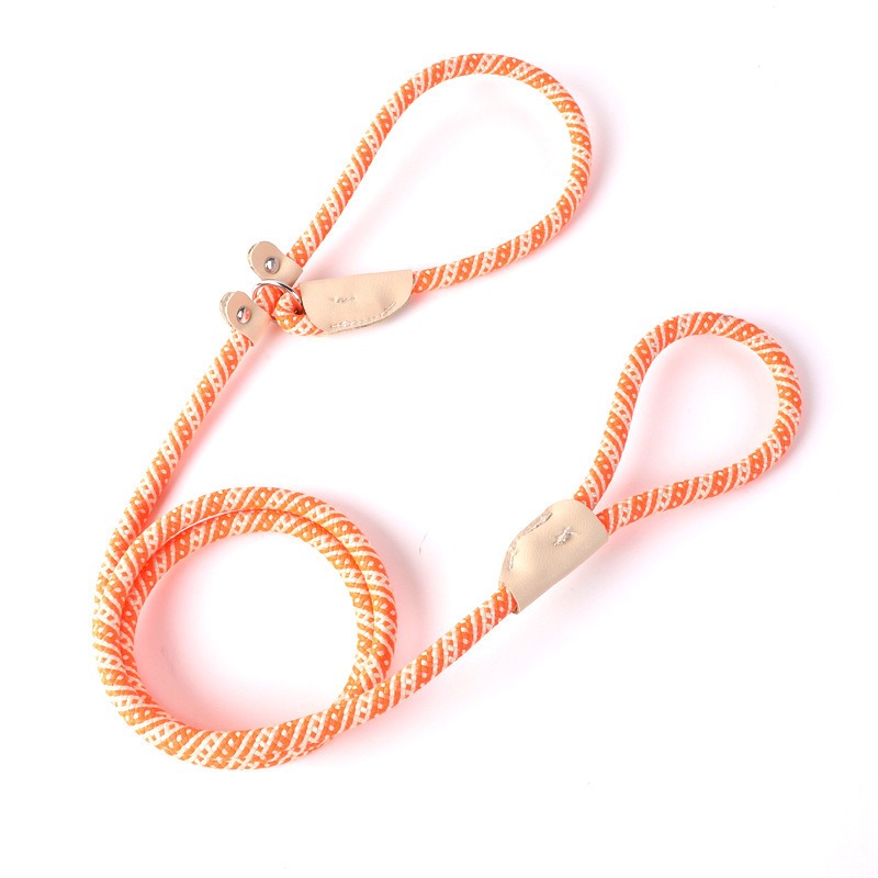 Braided P-Leash Dog Leash Training Slip Lead Anti-Pull Durable Nylon Pet Traction Rope for Small Medium Large Dogs