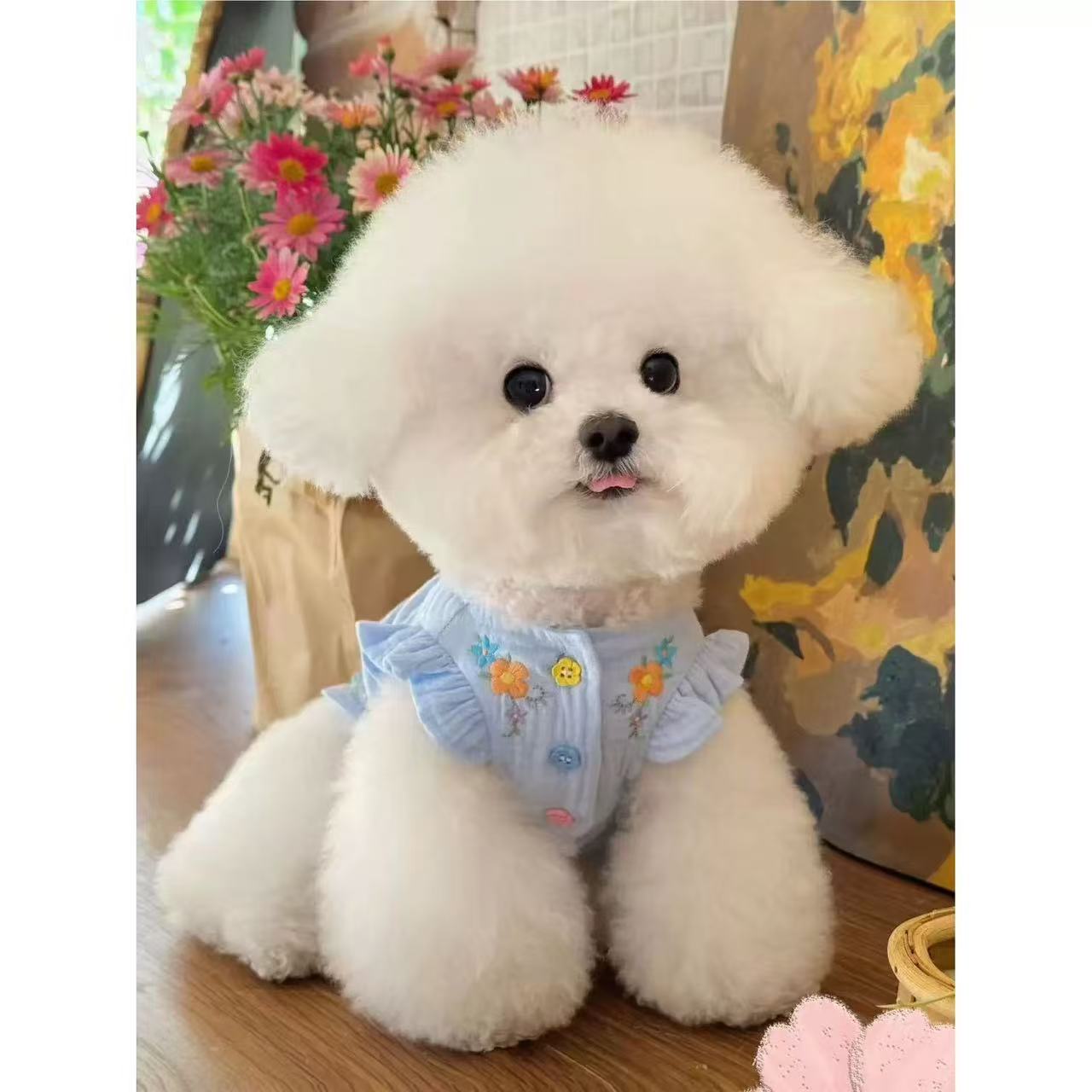 T00373 Pet Maltese Bichon Yorkshire Teddy Puppy Ultra Small Skirt Cat Dog Clothes Summer Thin Section