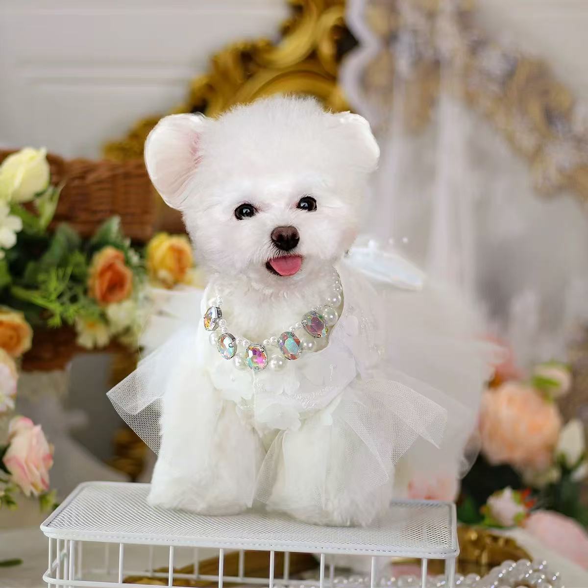 T00377 Puppy dowry clothes spring autumn summer thin pet small wedding dress cat princess dress wedding dress