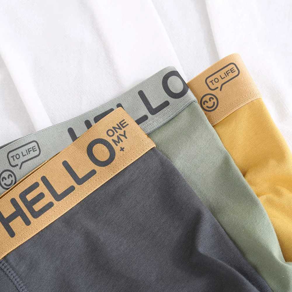 Mens Panties Underwear Boxer Shorts Comfortable Milk Silk Underpants Cuecas Calzoncillos Boxershorts Lot Plus Size L-5XL W250603