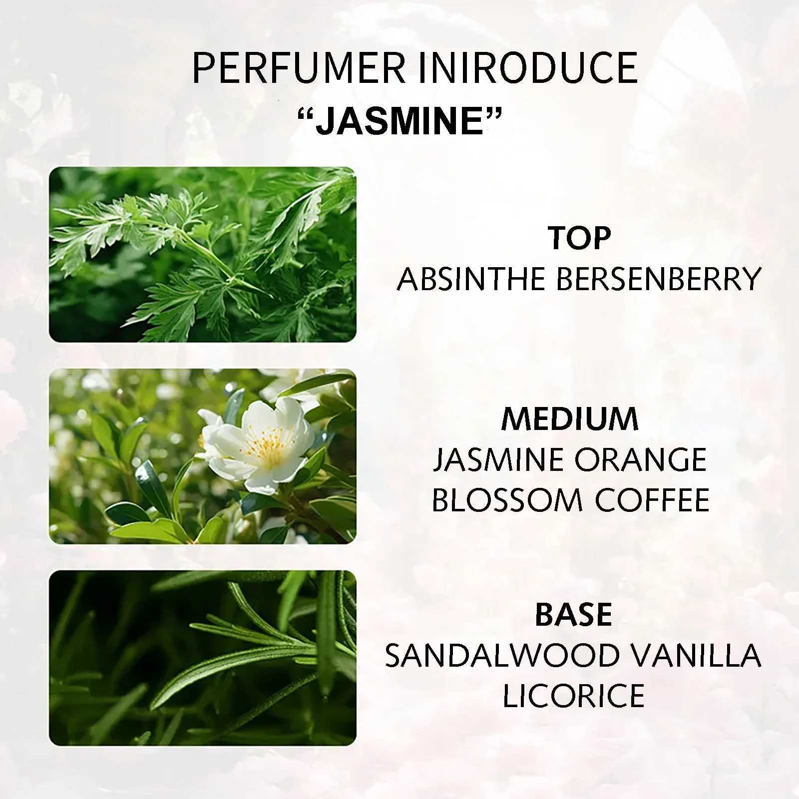 Eau de Parfum Spray with Notes of jasmine Spices Herb Womens Perfume Fragrance Light Fragrance Lasting 50ml M250603