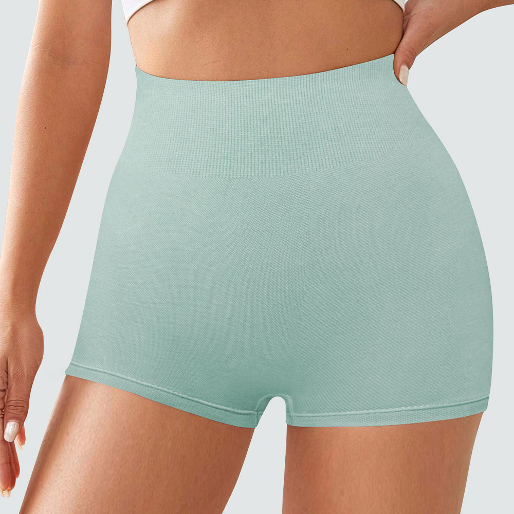 Sports Outdoor Fitness 260g High Elastic Nylon High Waist and Hip Lifting Solid Color Seamless Women's Shorts