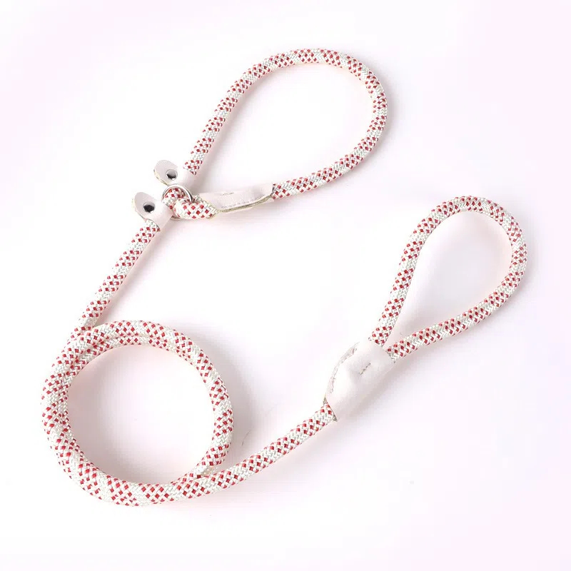 Braided P-Leash Dog Leash Training Slip Lead Anti-Pull Durable Nylon Pet Traction Rope for Small Medium Large Dogs
