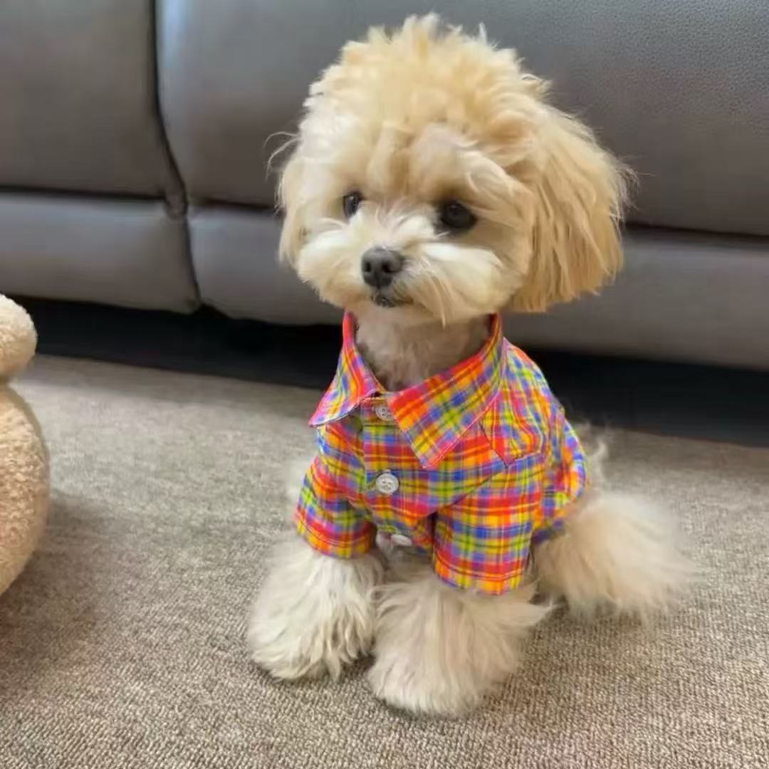 T00423 Dog pet clothes new plaid Bichon spring and summer Teddy small shirt thin Schnauzer cat puppy
