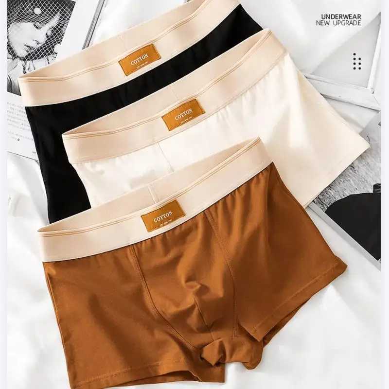 3Pcs Boxer Shorts Mens Underwear Sexy Panties Cotton Boxers Soft Fashion Antibacterial Trunks Man Underpants Male Short Fitness W250603