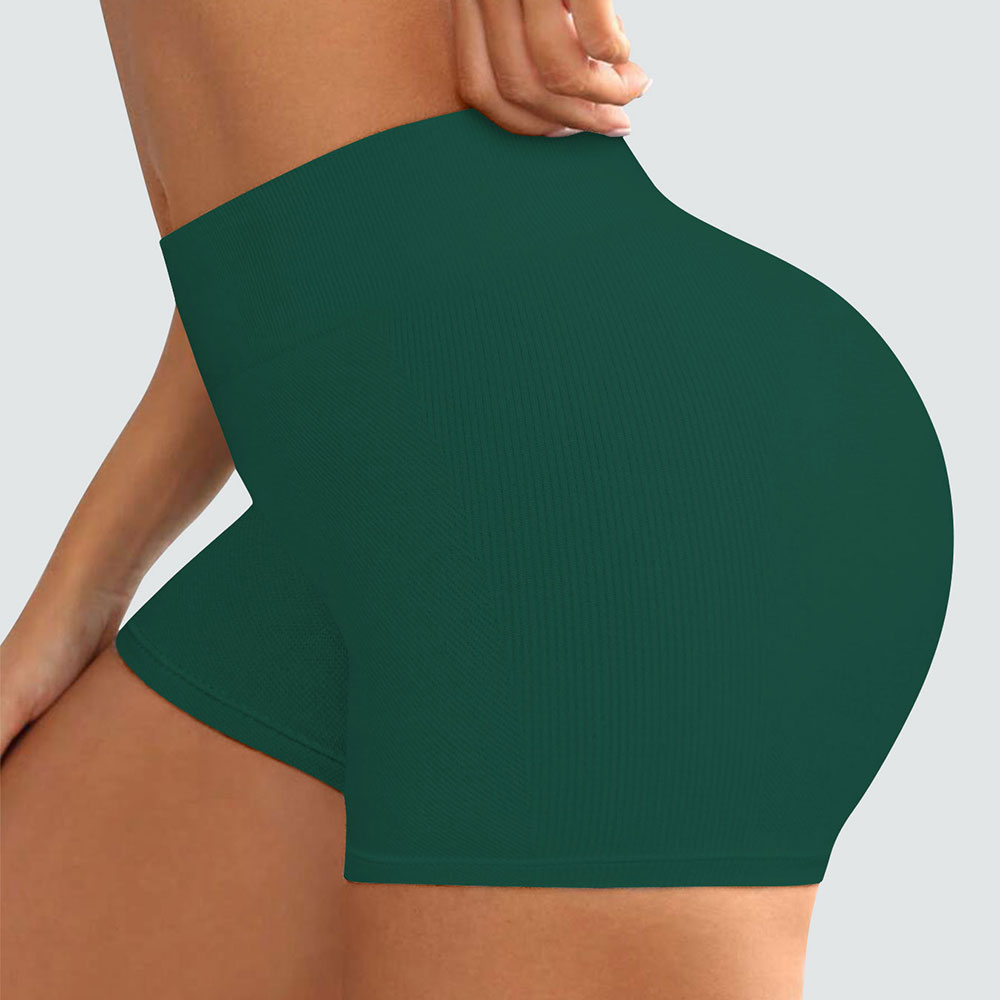 Sports Outdoor Fitness 260g High Elastic Nylon High Waist and Hip Lifting Solid Color Seamless Women's Shorts