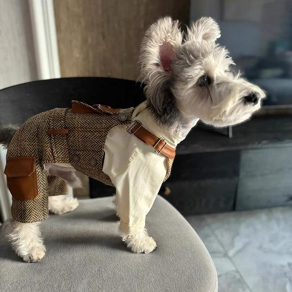 Dog Shirts Clothes British Style Overalls, Pet Stripe Onesies Apparel, Puppy Jacket Sling Jumpsuit Costumes with Pocket for Small Medium Dogs Boy Girl