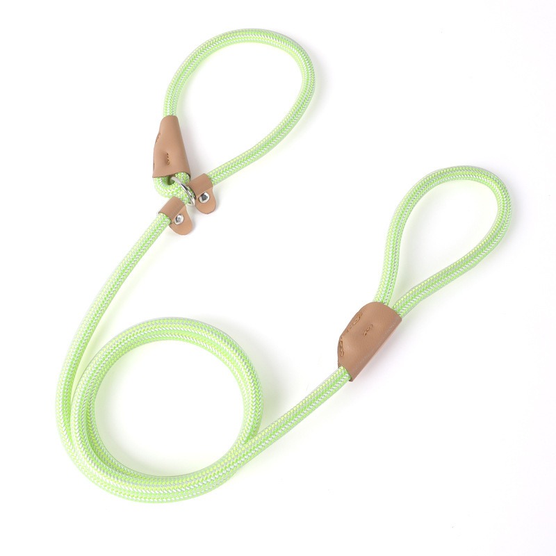Braided P-Leash Dog Leash Training Slip Lead Anti-Pull Durable Nylon Pet Traction Rope for Small Medium Large Dogs