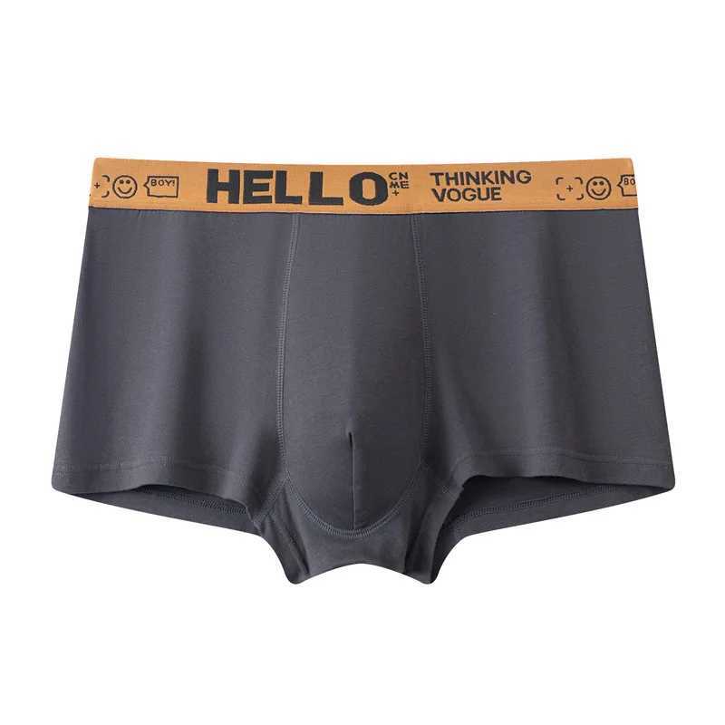 4Pcs Men Underwear Mens Boxers Sexy Underpants Comfortable Breathable Fashion Boys Panties Underwear Boxershorts Men W250603