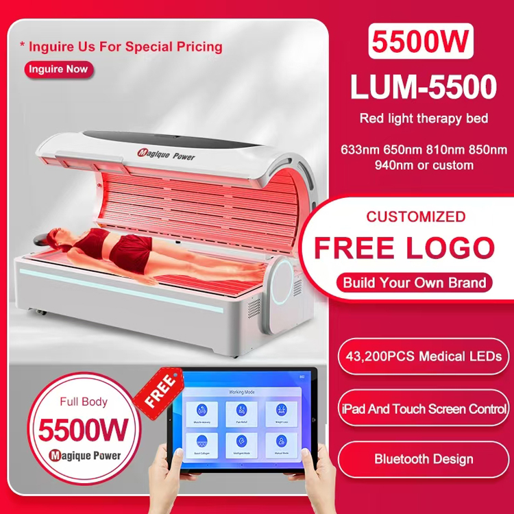 PBM Bed 660&850nm Near Infrared & Red Light Therapy Slimming High Power LED Light Therapy Lamp Anti-Aging Pain Relief