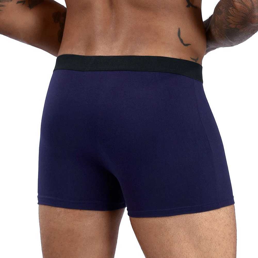 Blue Boxer 2024 Mens Panties Cotton Underwear Male Brand Boxer And Underpants For Men Luxury Shorts Box Slip Kit W250603