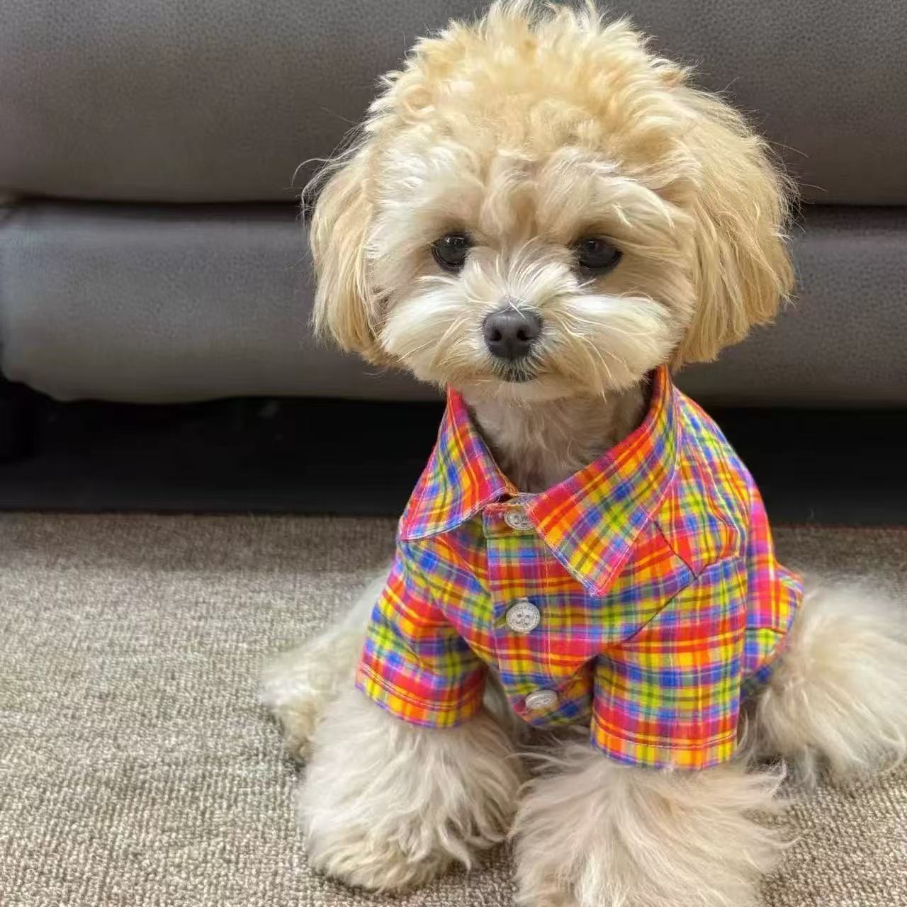 T00423 Dog pet clothes new plaid Bichon spring and summer Teddy small shirt thin Schnauzer cat puppy