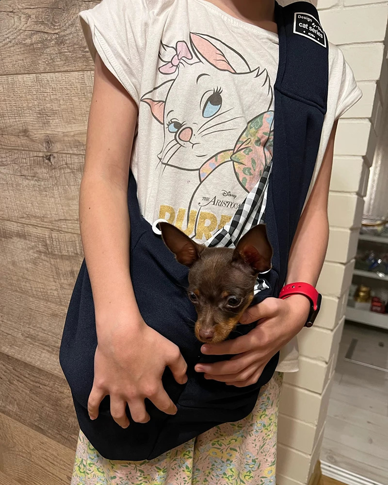 Adjustable Pet Dog Bag Outdoor Travel Puppy Single Shoulder Bags Dogs Comfort Sling Handbag Corgi Puppy Tote Pouch 250526
