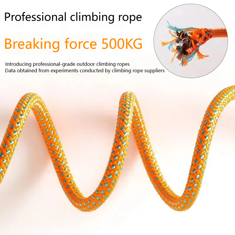 Competition-Grade P Rope Dog Leash with Anti-Suffocation & Anti-Escape Buckles - 500KG Tensile Strength Climbing Rope for Dog Training & Walking