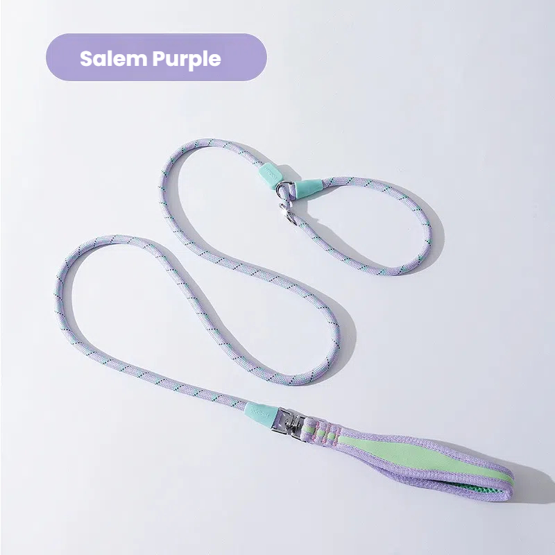 Hands-Free Anti-Pull Training Dog Leash & Collar Combo with Reflective Strips & Comfortable Grip - High Strength Pet Rope for All Breeds (1.55-1.85m)