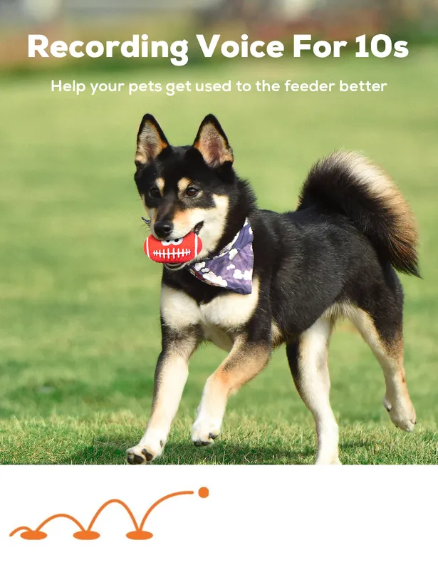 Dog Toys Squeaky Ball Latex Rubber Squeak Soft Bouncy Fetch Balls for Medium Small Pets Interactive Play Suppliers