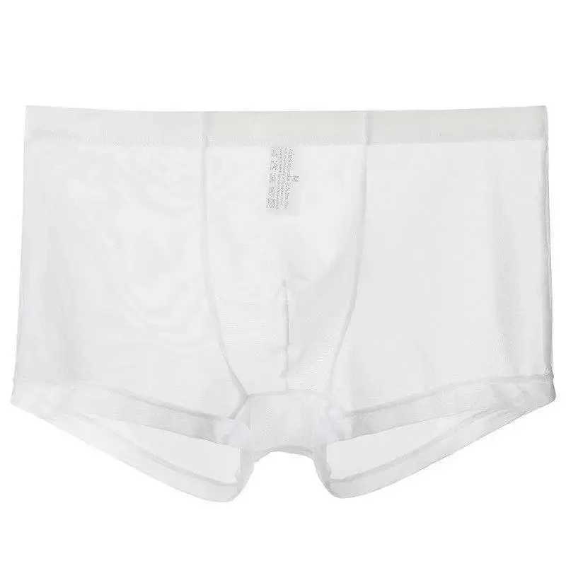 Mens Underwear Transparent Boxers Bulge Ice Silk See Through Underpants Sexy Briefs Low Waist Panties Lingerie Intimates W250603
