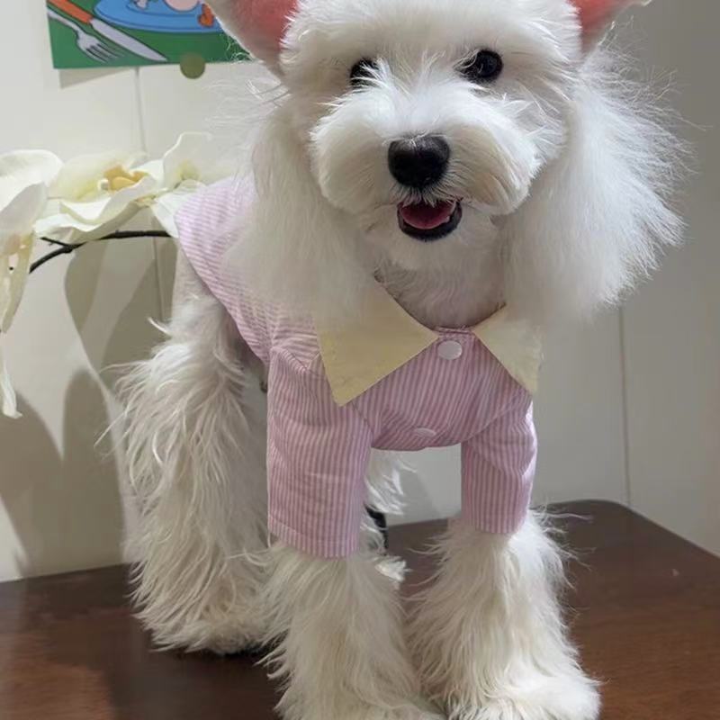 T00384 Dog Clothes Spring and Summer Thin Cotton Striped Pet Shirt Small Dog Anti-hair Loss Bichon Teddy Schnauzer Cat