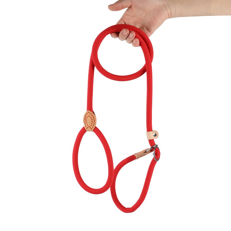 Ergonomic Pet Control Tool: Versatile Slip-Lead Harness System Made from Strong Materials