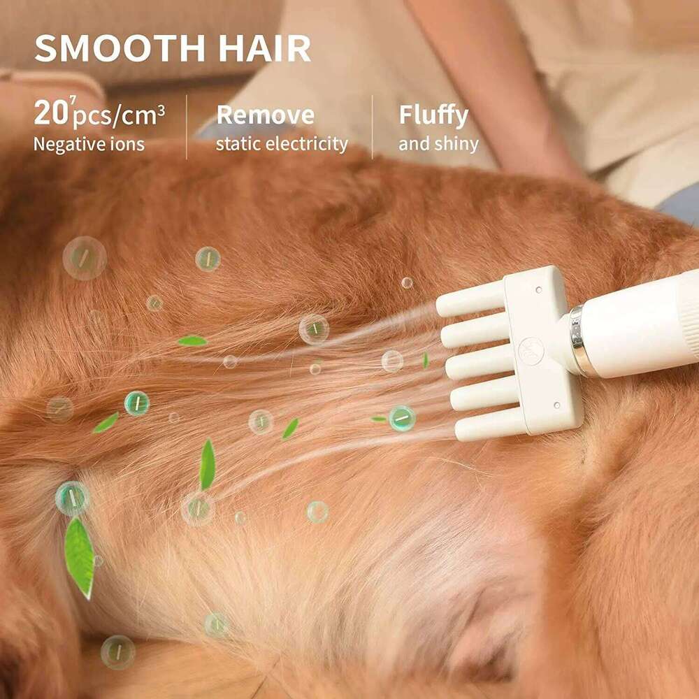 Portable Handheld Grooming Hair Less Noise Dog Blow Pet Force Dryer For Household Travel Camp