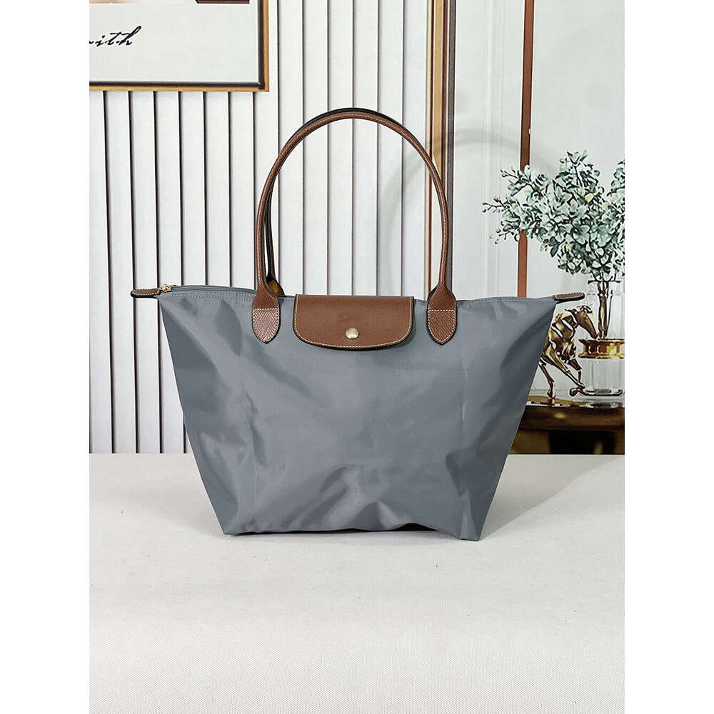 Fashion Dumpling Classic Large Size Long Shoulder Strap Underarm Bag Handheld Nylon Waterproof Multi-color