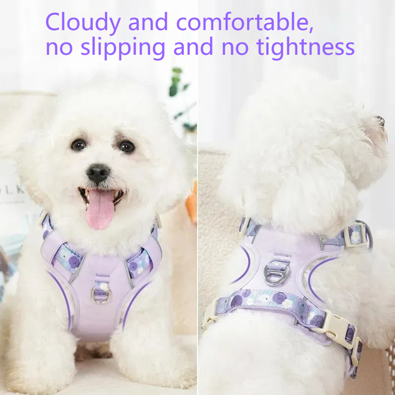 Pet Dog Harness and Leash Set - Breathable Adjustable Reflective Vest with Matching Leash for Small to Medium Dogs - Summer Puppy Chest Strap (Purple/
