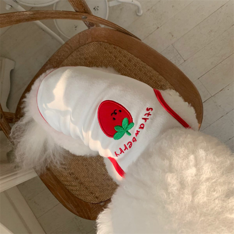 Dog Sleeveless T-Shirt Cute Fruit Puppy Vest Pet Summer Embroidered Clothes Teddy Schnauzer Breathable Pullover Fashion Clothes