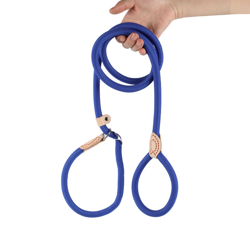 Ergonomic Pet Control Tool: Versatile Slip-Lead Harness System Made from Strong Materials