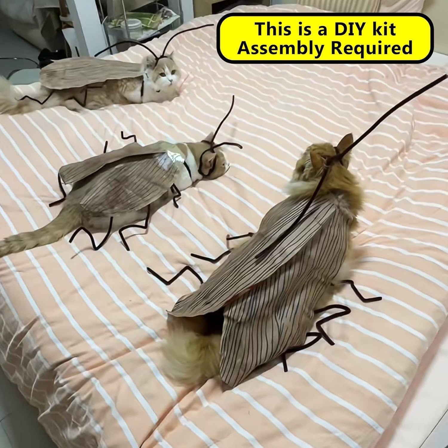 Cat Cockroach Clothing DIY Kit, Funny Cat Costume with Roach Wings and Antenna, Cockroach Kitten Pet Cape Craft Set, Cosplay Halloween Party Decoratio
