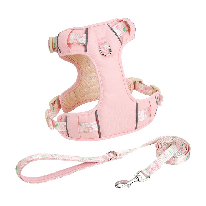 Pet Dog Harness and Leash Set - Breathable Adjustable Reflective Vest with Matching Leash for Small to Medium Dogs - Summer Puppy Chest Strap (Purple/