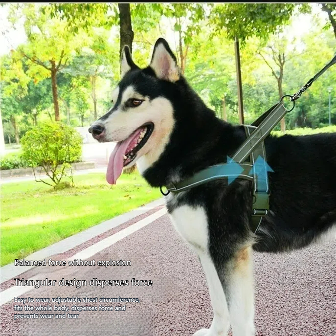 Reflective No Pull Dog Harness Vest for Medium Large Dogs, Adjustable Nylon Pet Harness with Front and Back Leash Clips