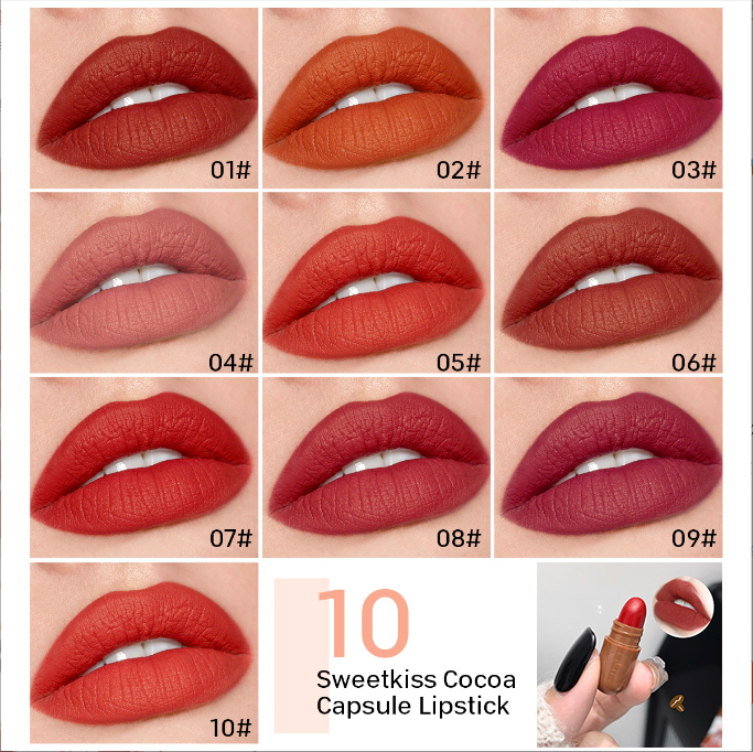 10pcs Mini Capsule Lipstick Set Matte Soft Mist Moisture Lipstick Easy to Apply Highly Pigmented Lip Lipstick Set DH1001