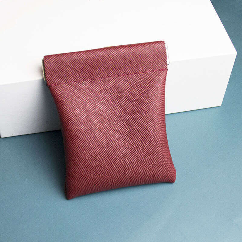 Automatic Closure Storage Mini Coin Purse Earphone Lipstick Bag TikTok