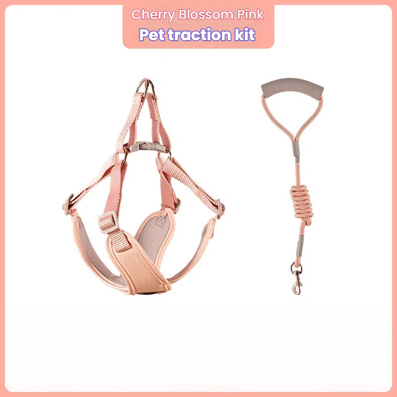 X-shaped Breathable Macaron Pet Harness & Leash Set for Small Dogs & Cats