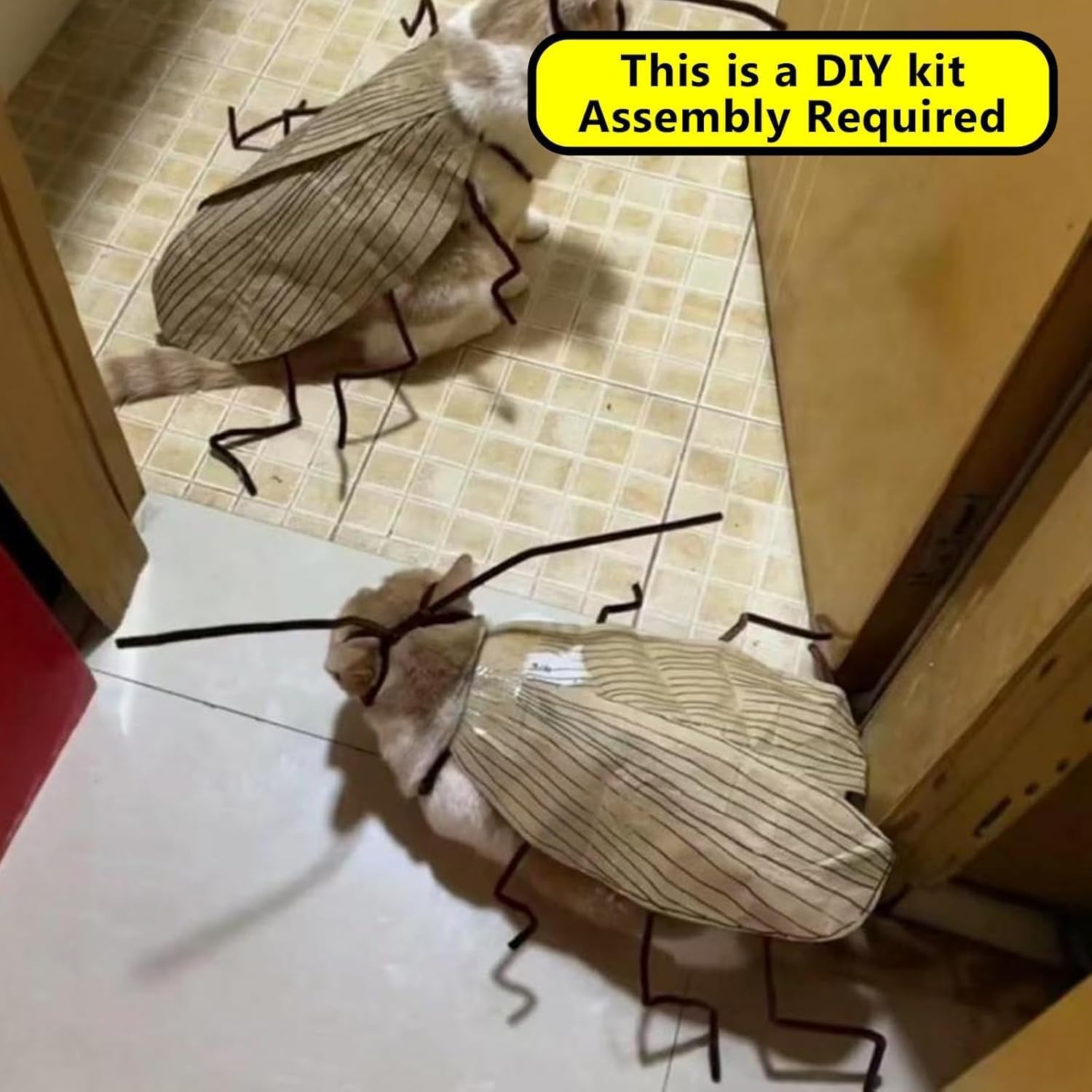 Cat Cockroach Clothing DIY Kit, Funny Cat Costume with Roach Wings and Antenna, Cockroach Kitten Pet Cape Craft Set, Cosplay Halloween Party Decoratio