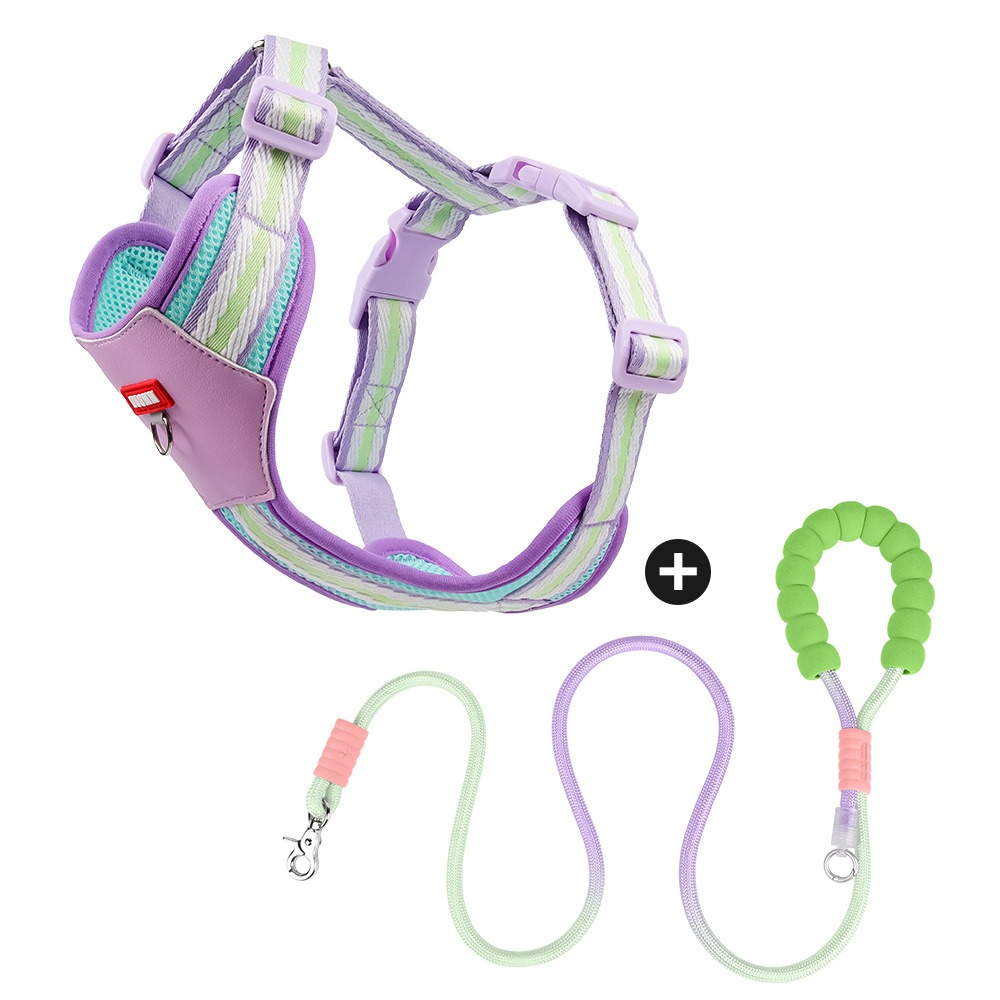 Breathable Mesh Small Dog Harness with Leash Set - Adjustable, Lightweight & Comfortable Pet Vest