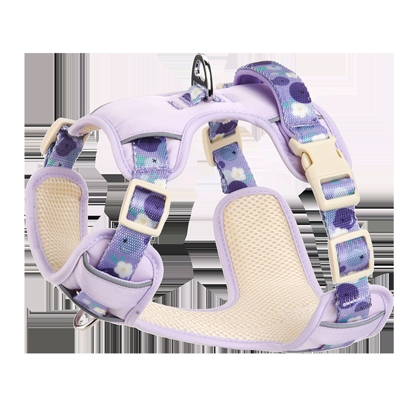 Pet Dog Harness and Leash Set - Breathable Adjustable Reflective Vest with Matching Leash for Small to Medium Dogs - Summer Puppy Chest Strap (Purple/