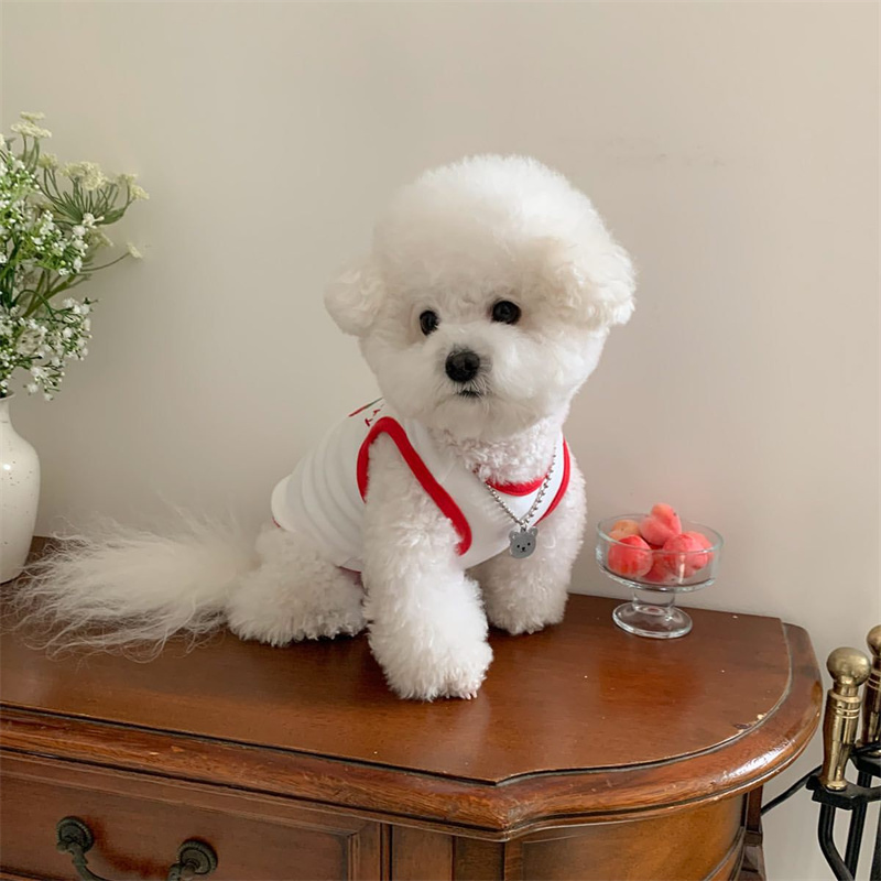 Dog Sleeveless T-Shirt Cute Fruit Puppy Vest Pet Summer Embroidered Clothes Teddy Schnauzer Breathable Pullover Fashion Clothes