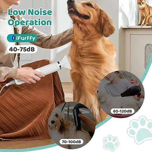 5 In 1 Portable Handheld Dog Blow With Brush For Pet Washing Hair Dryer Dog Grooming Equipment