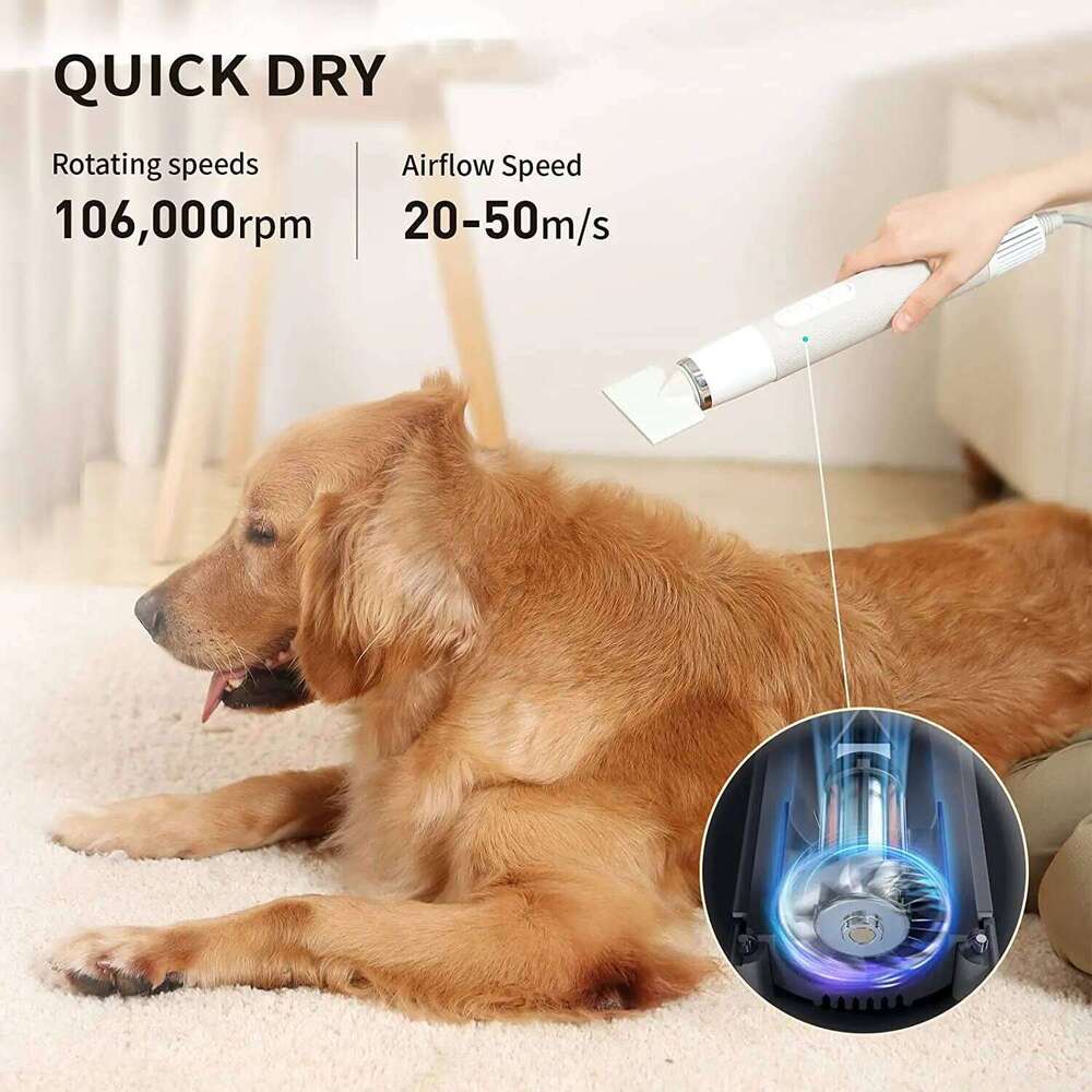 Portable Handheld Grooming Hair Less Noise Dog Blow Pet Force Dryer For Household Travel Camp