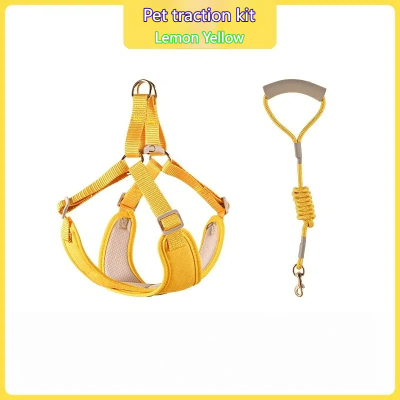 X-shaped Breathable Macaron Pet Harness & Leash Set for Small Dogs & Cats