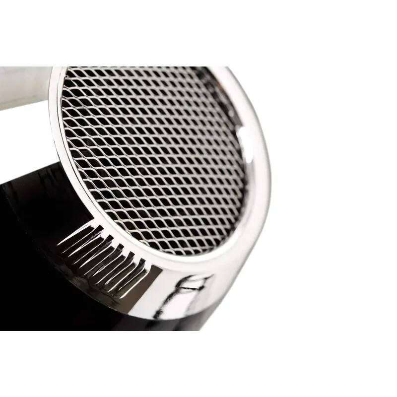 Elchim 3900 Healthy & Light Ionic Professional Dryers, Lightweight With 2 Concentrators Included, Multiple Color Options