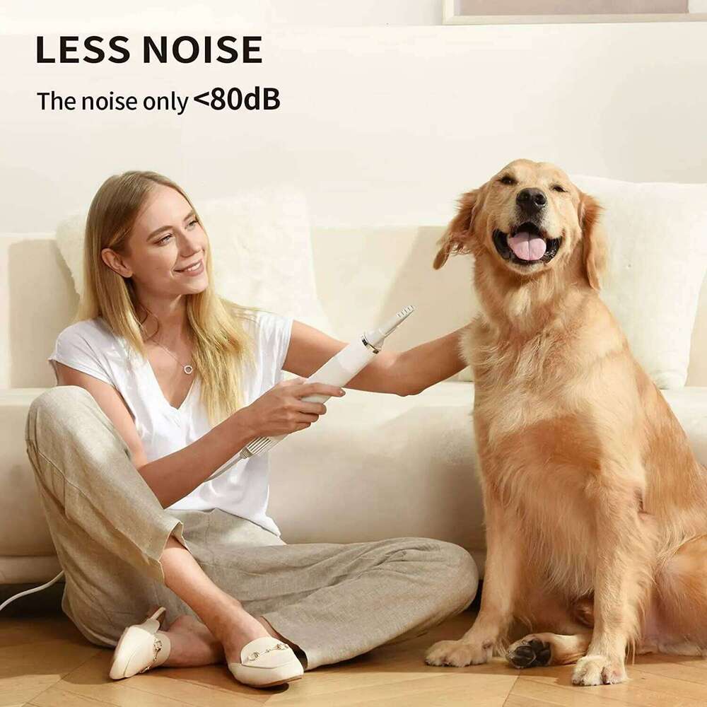 Portable Handheld Grooming Hair Less Noise Dog Blow Pet Force Dryer For Household Travel Camp