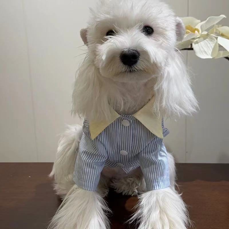 T00383 Dog clothes spring and summer thin contrast color pet new striped shirt anti-hair loss small and medium-sized dogs Teddy Bichon