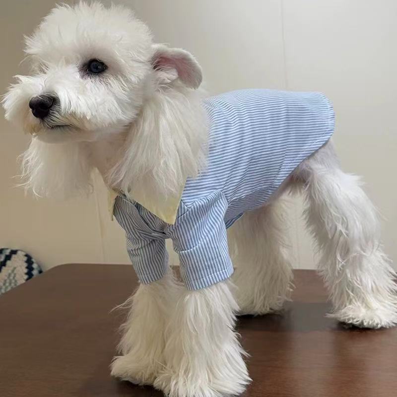T00383 Dog clothes spring and summer thin contrast color pet new striped shirt anti-hair loss small and medium-sized dogs Teddy Bichon
