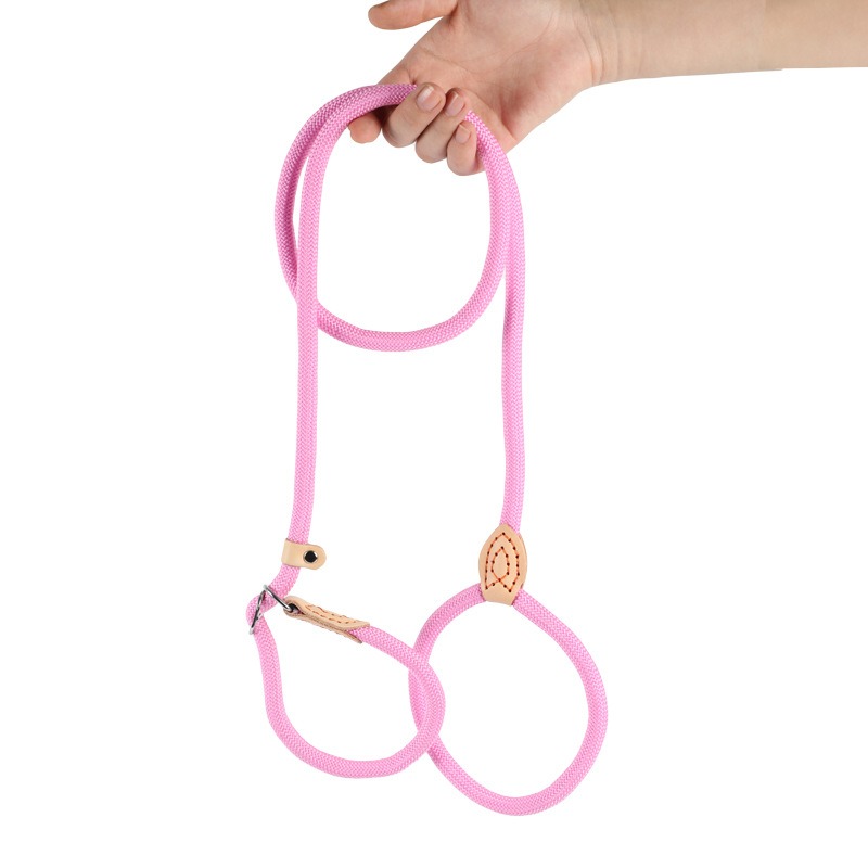 Ergonomic Pet Control Tool: Versatile Slip-Lead Harness System Made from Strong Materials