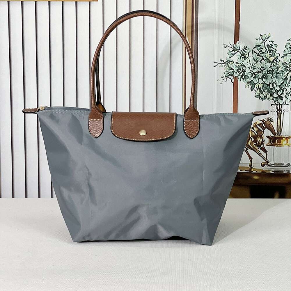 Fashion Dumpling Classic Large Size Long Shoulder Strap Underarm Bag Handheld Nylon Waterproof Multi-color