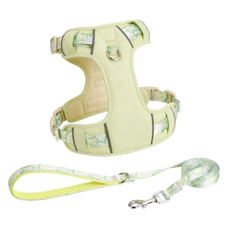 Pet Dog Harness and Leash Set - Breathable Adjustable Reflective Vest with Matching Leash for Small to Medium Dogs - Summer Puppy Chest Strap (Purple/